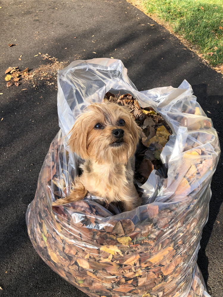 The Miss.Unique Collection